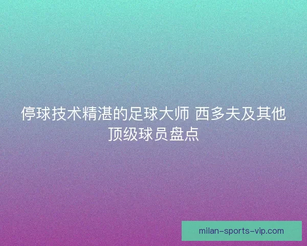 停球技术精湛的足球大师 西多夫及其他顶级球员盘点