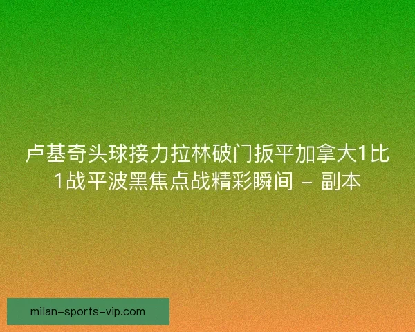 卢基奇头球接力拉林破门扳平加拿大1比1战平波黑焦点战精彩瞬间 - 副本